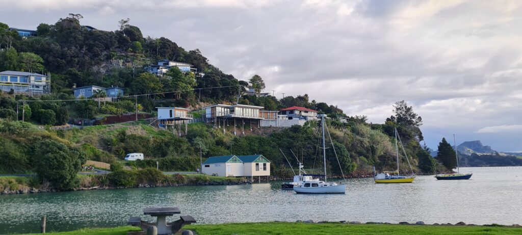 building-on-a-slope-steep-nz-arcline-architecture