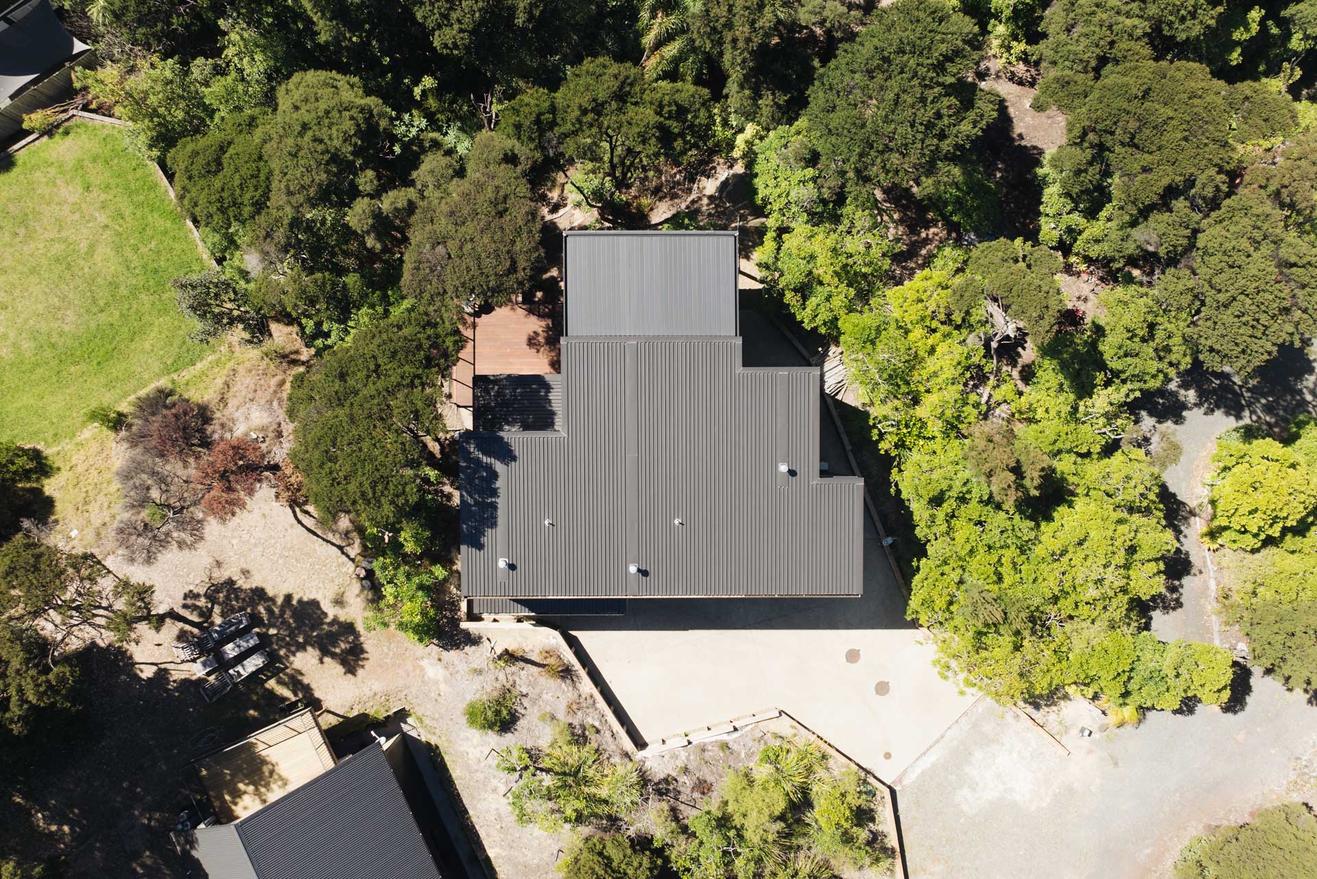 bush-clad-site-mangawhai-arcline-architecture