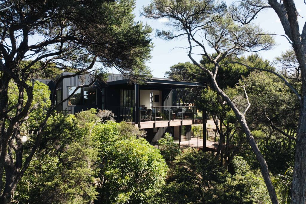 tree-house-black-new-home-bach-arcline-architecture