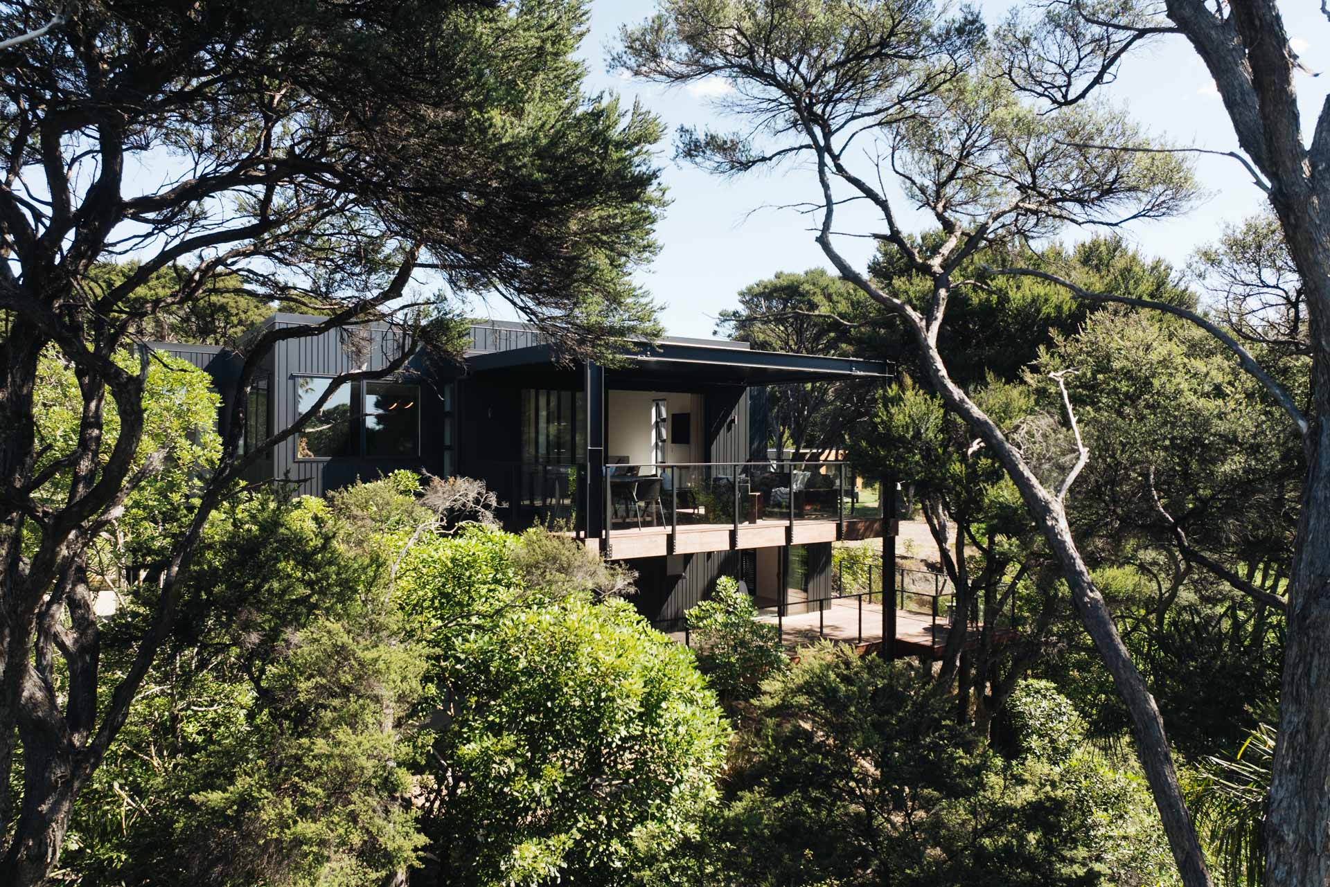 tree-house-black-new-home-bach-arcline-architecture