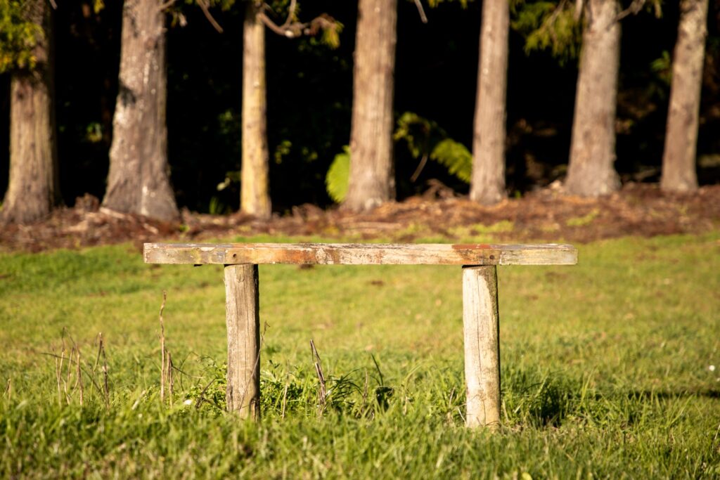 streamside-estate-wooden-seat-overlooking-the-bush