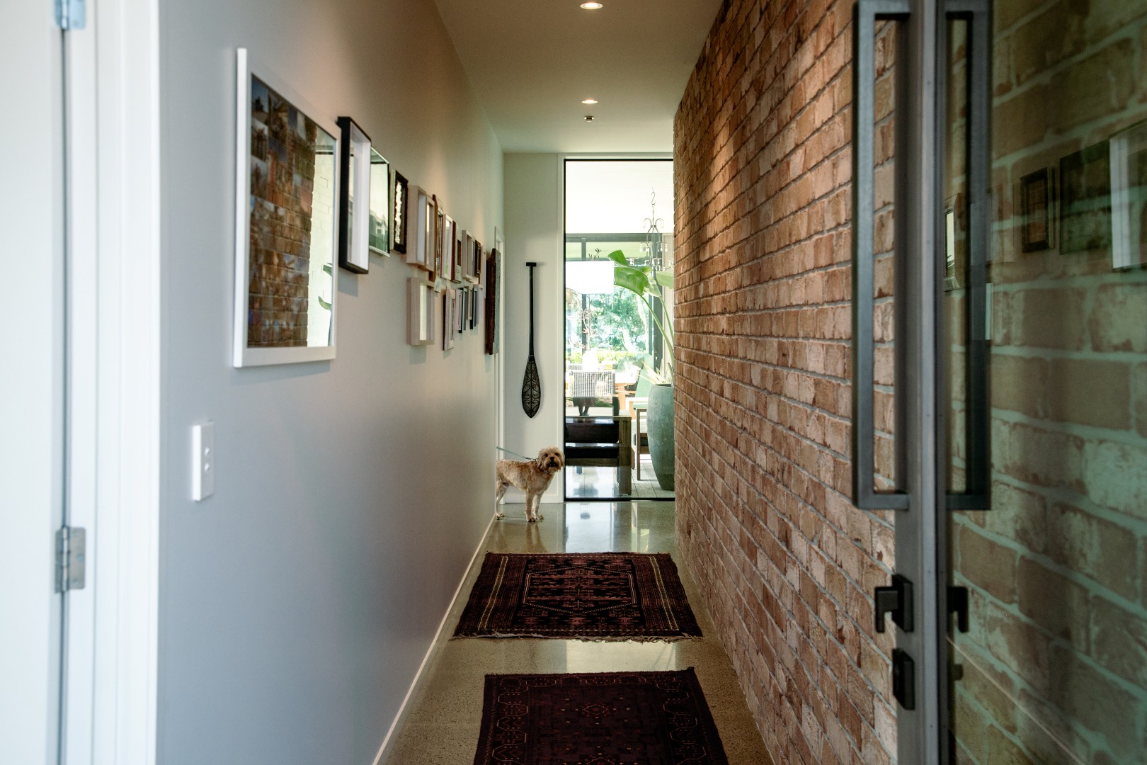 entry-hallway-repurposed-brick-feature-wall-dog-views-arcline-architecture
