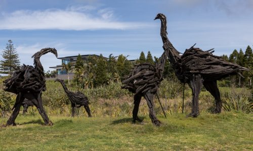 moa-statues-wood-driftwood-northland-architecture-arcline-design